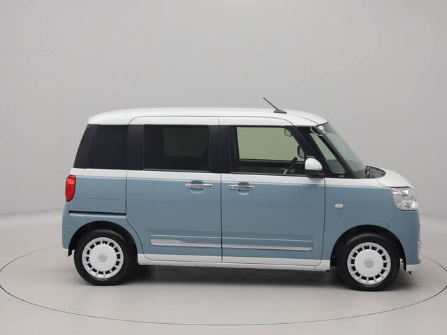 ムーヴキャンバス ストライプスG(69枚目)