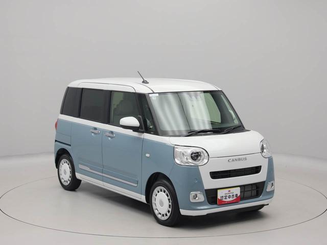 ムーヴキャンバス ストライプスG(70枚目)