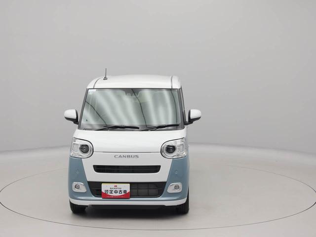 ムーヴキャンバス ストライプスG(71枚目)