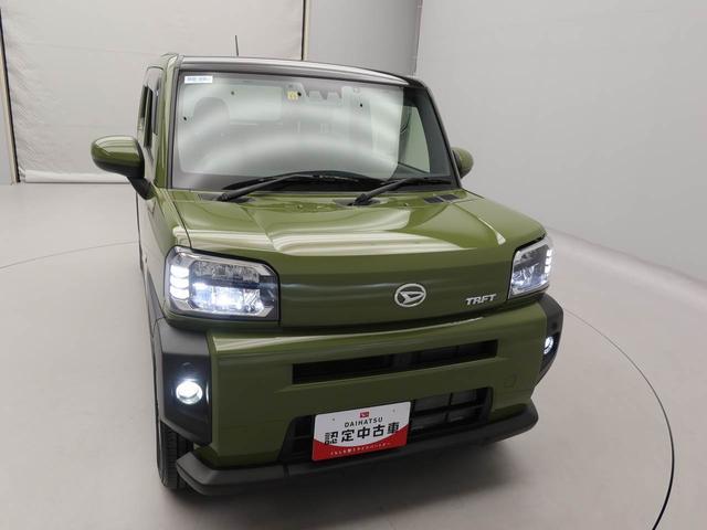 タフト G(47枚目)