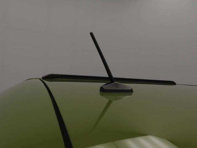 タフト G(56枚目)