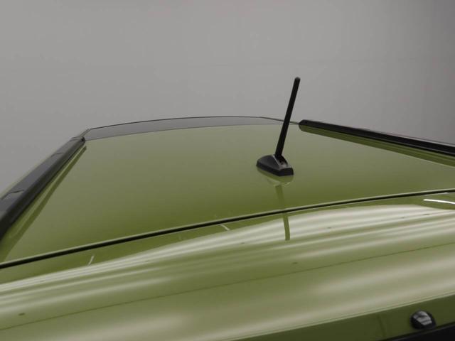 タフト G(65枚目)