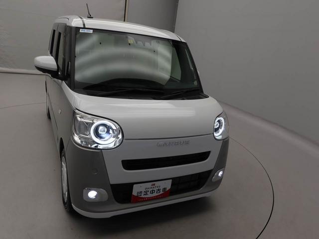 ムーヴキャンバス ストライプスG(47枚目)