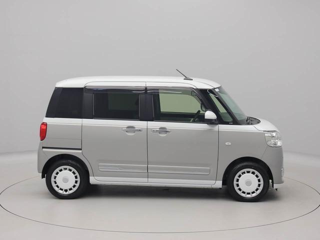 ムーヴキャンバス ストライプスG(74枚目)