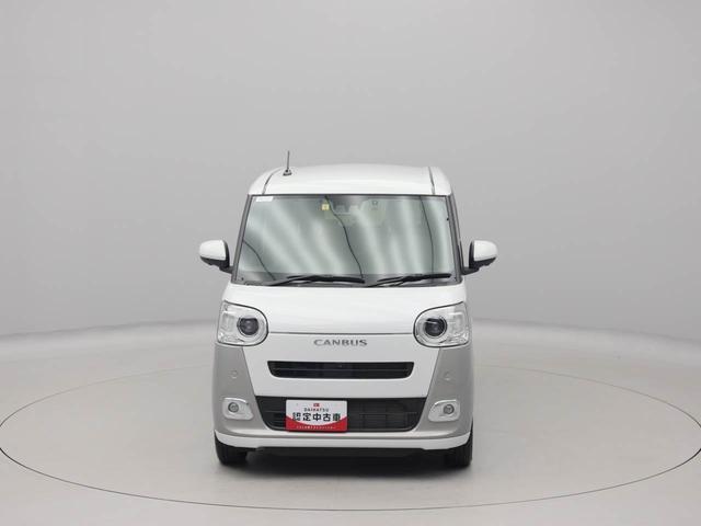 ムーヴキャンバス ストライプスG(76枚目)