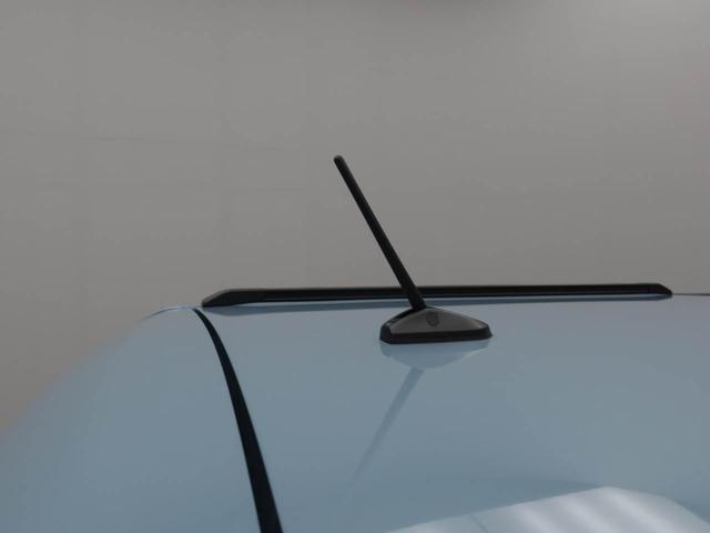 タフト Ｇ　クロムベンチャー　ワンオーナー　衝突回避支援ブレーキ　車線逸脱警報　バックカメラ　キーフリー　プッシュスタート　ＬＥＤヘッドランプ　アルミホイール　アイドリングストップ　エアバック　ＡＢＳ　ＣＶＴ　イモビライザー（48枚目）