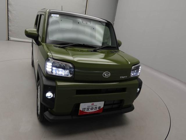 タフト G(39枚目)