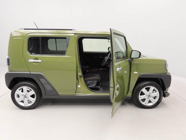 タフト G(42枚目)