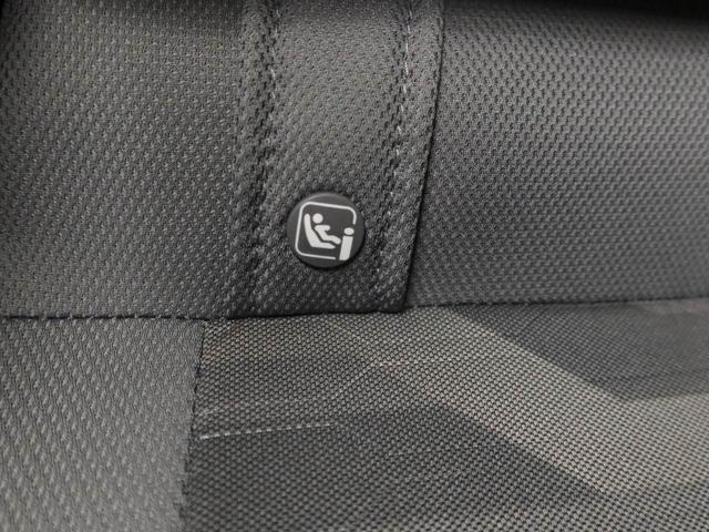 タフト G(45枚目)