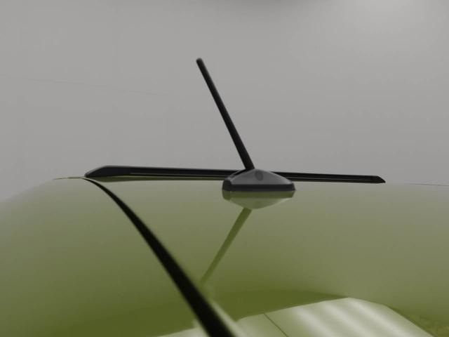 タフト G(50枚目)