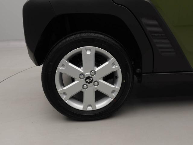 タフト G(60枚目)