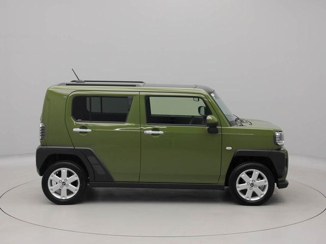 タフト G(65枚目)