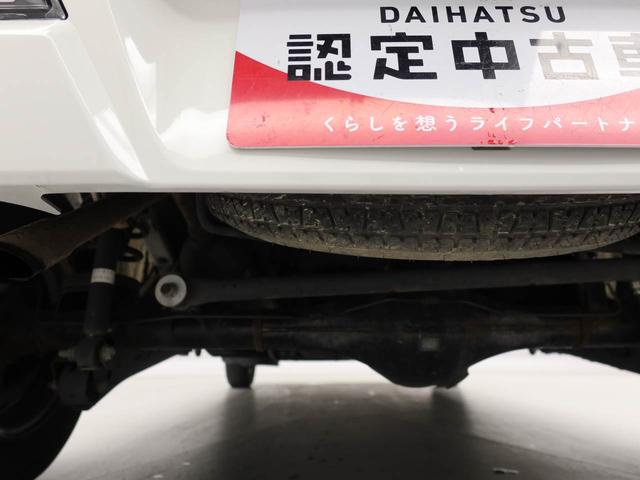 �o�b�N�J�����t���B