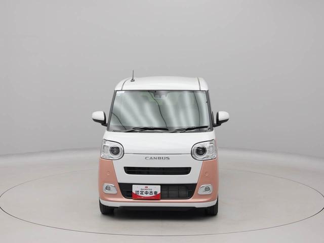 ムーヴキャンバス ストライプスＧ（68枚目）