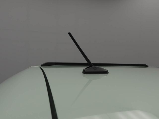 タフト Ｇ　ワンオーナー　衝突回避支援ブレーキ　車線逸脱警報　バックカメラ　キーフリー　プッシュスタート　ＬＥＤヘッドランプ　アルミホイール　アイドリングストップ　エアバック　ＡＢＳ　ＣＶＴ　イモビライザー（48枚目）