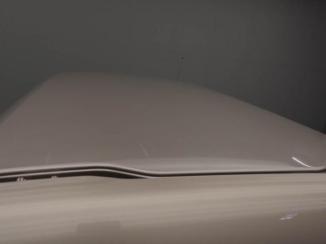 �킸���ȕۏؗ��ŉ����ۏ؂��v���X�P�N�����Q�N�t�тł��܂��B�f�B�[���[������ł���傫�Ȉ��S�̕ۏ؂ł��􁦈ꕔ�ΏۊO�̎Ԃ��������܂��ڂ����͉c�ƃX�^�b�t�܂�