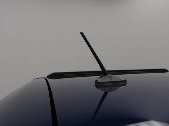 タフト Ｇ　オーディオレス　バックカメラ　電子パーキング　ＬＥＤヘッドライト　キーフリー（47枚目）