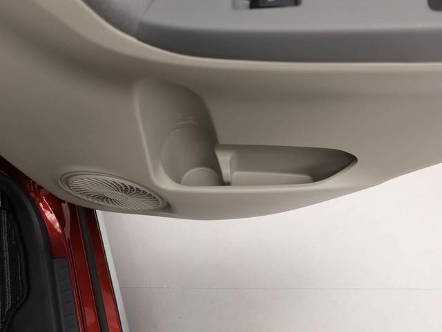 �J�b�v�z���_�[�͍��Ȃ��炿�傤�ǎ�̓͂��ʒu�ł��I�I