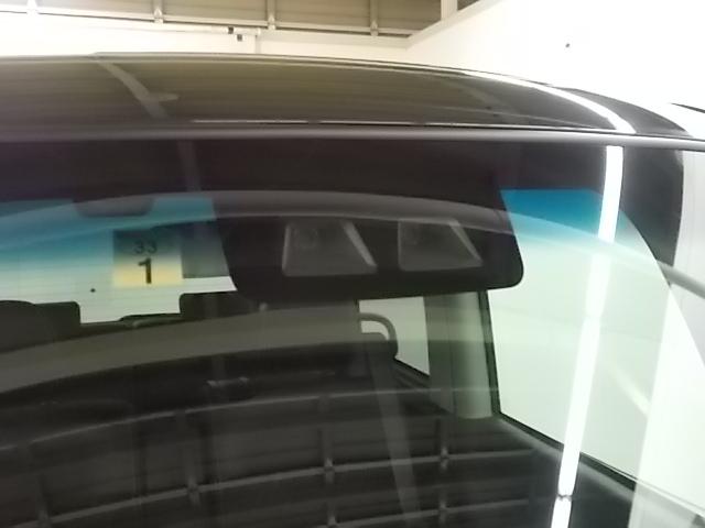 カスタムX トップエディションリミテッドSAIII(4枚目)