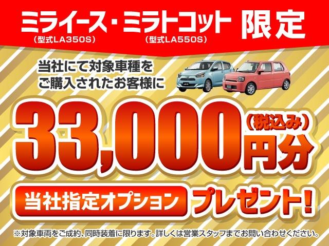 X リミテッドSAIII(3枚目)