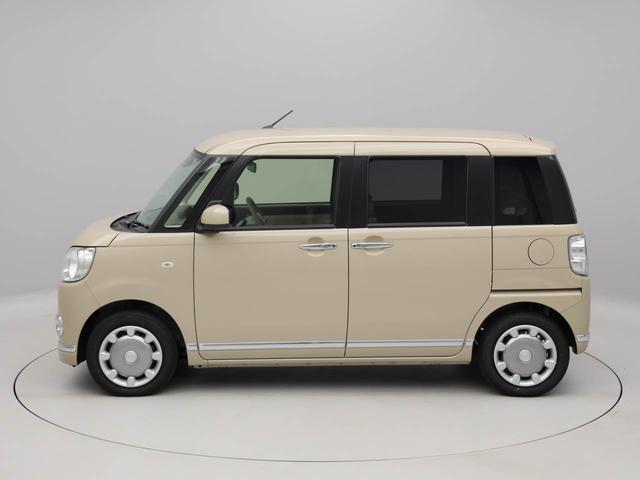Xメイクアップリミテッド SAIII 全方位モニター(7枚目)