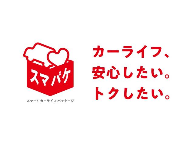 L SAIII LEDヘッドランプ キーレス バックカメラ 衝突被害軽減システム 衝突被害軽減システム(28枚目)