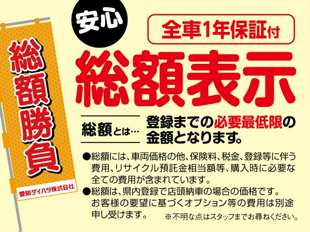 スタイル SAIII(30枚目)