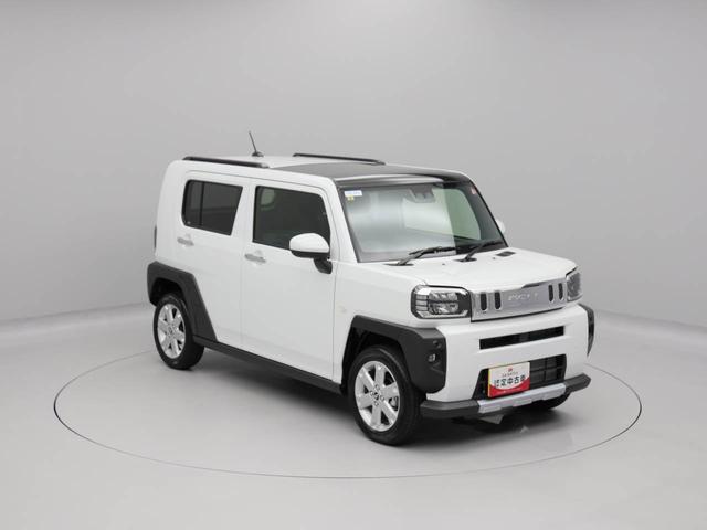 タフト Ｇ　クロムベンチャー（45枚目）