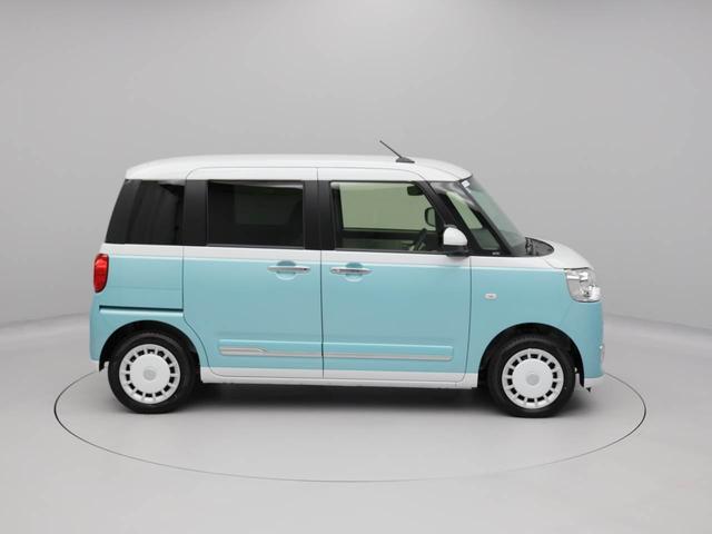 ムーヴキャンバス ストライプスＧ（47枚目）