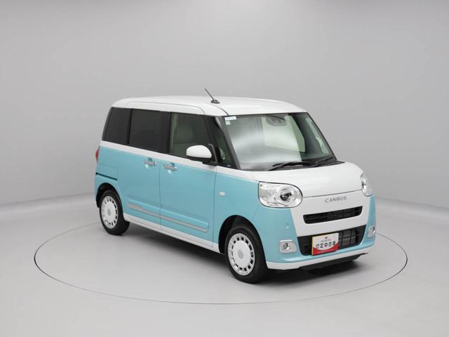 ムーヴキャンバス ストライプスＧ（48枚目）