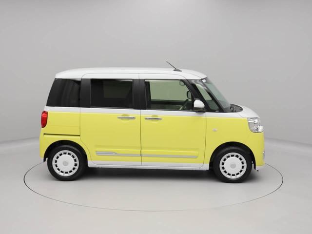 ムーヴキャンバス ストライプスＧ（50枚目）