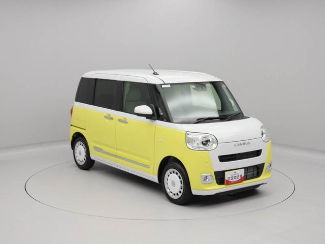 ムーヴキャンバス ストライプスＧ（51枚目）
