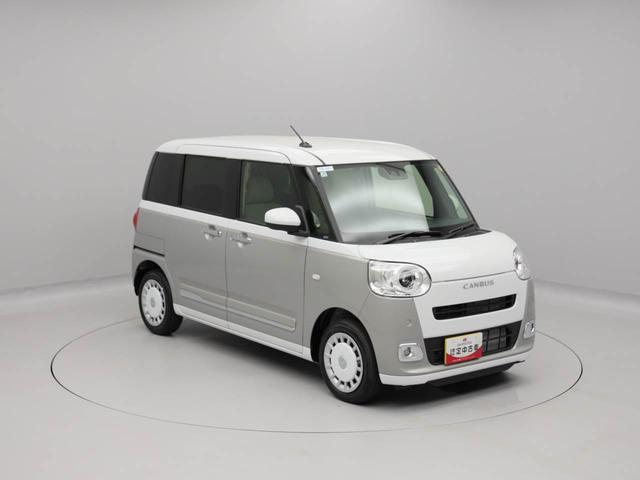 ムーヴキャンバス ストライプスＧ（45枚目）