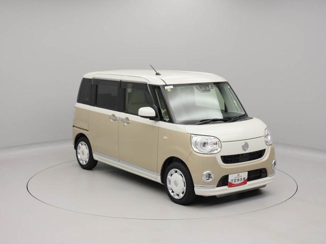 ムーヴキャンバス Ｇメイクアップリミテッド　ＳＡＩＩＩ（53枚目）