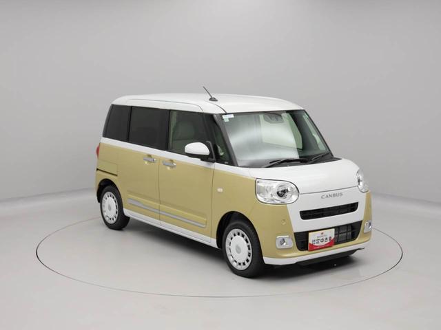 ムーヴキャンバス ストライプスＧ（46枚目）