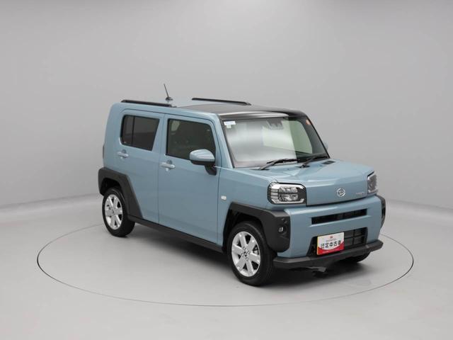 タフト Ｇ（45枚目）