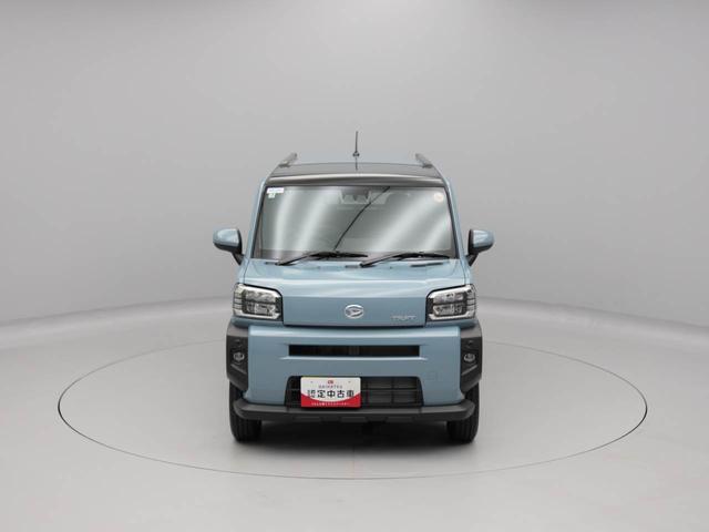 タフト Ｇ（46枚目）