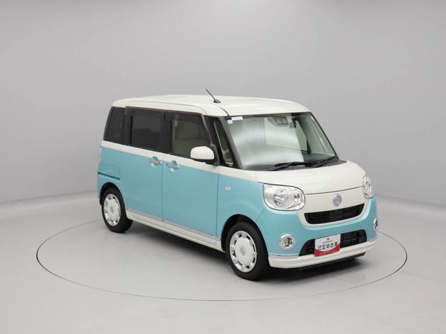 ムーヴキャンバス Ｘメイクアップリミテッド　ＳＡＩＩＩ（49枚目）