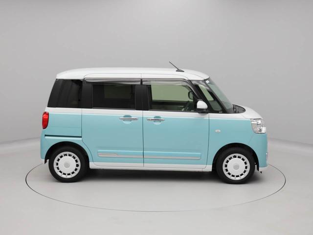 ムーヴキャンバス ストライプスＧ（50枚目）