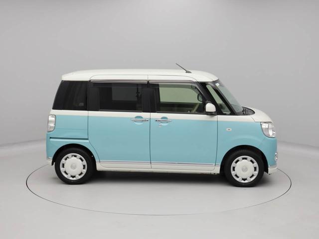 ムーヴキャンバス Ｘメイクアップリミテッド　ＳＡＩＩＩ（46枚目）