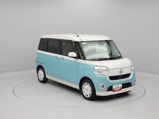 ムーヴキャンバス Ｘメイクアップリミテッド　ＳＡＩＩＩ（47枚目）