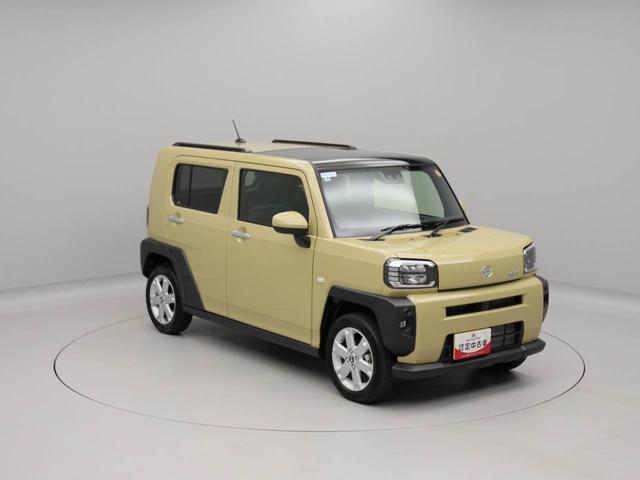 タフト Ｇ（45枚目）