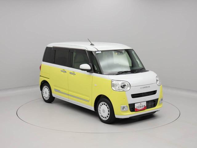 ムーヴキャンバス ストライプスＧ（51枚目）