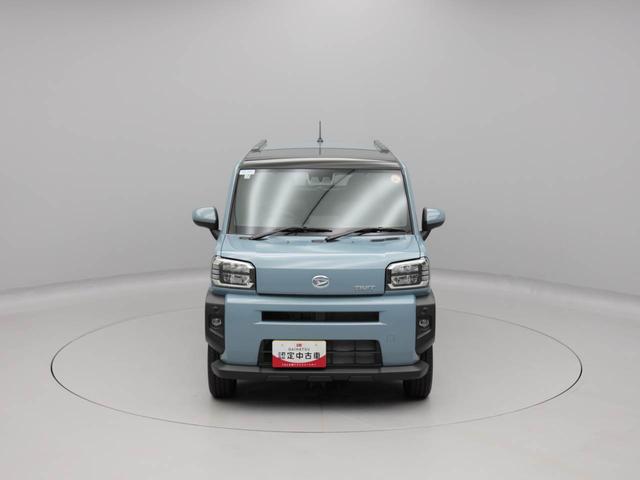 タフト Ｇ（46枚目）