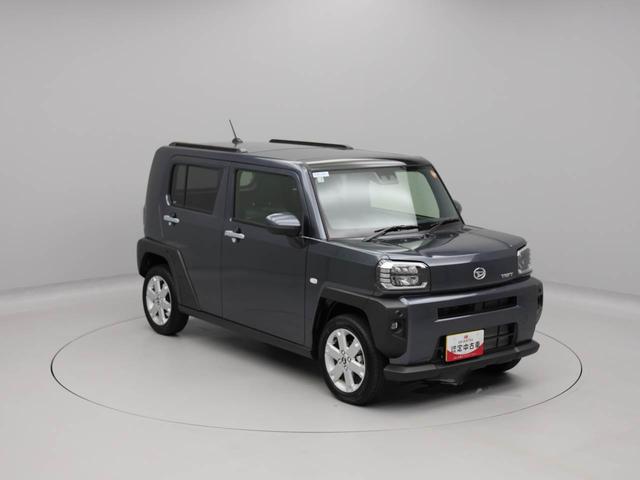 タフト Ｇ（45枚目）