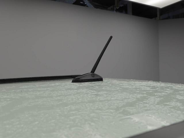 タフト Ｇ（33枚目）