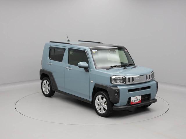 タフト Ｇ（48枚目）