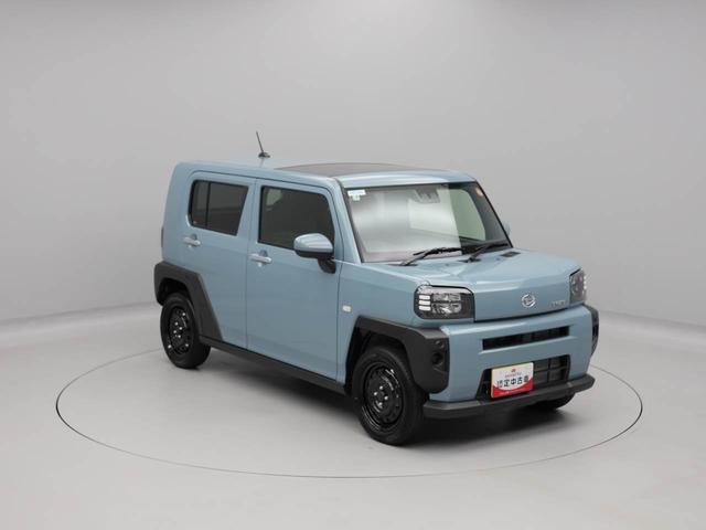 タフト Ｘ（44枚目）