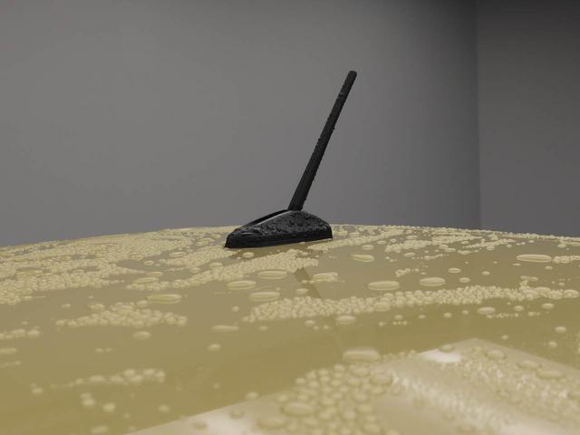 タフト Ｘ（31枚目）