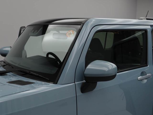 タフト Ｇ　衝突回避支援ブレーキ　誤発信抑制装置　キーフリーシステム　プッシュスタート　ＬＥＤライト（35枚目）